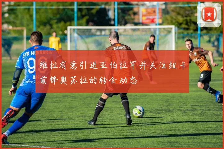维拉有意引进亚伯拉罕并关注纽卡前锋奥苏拉的转会动态