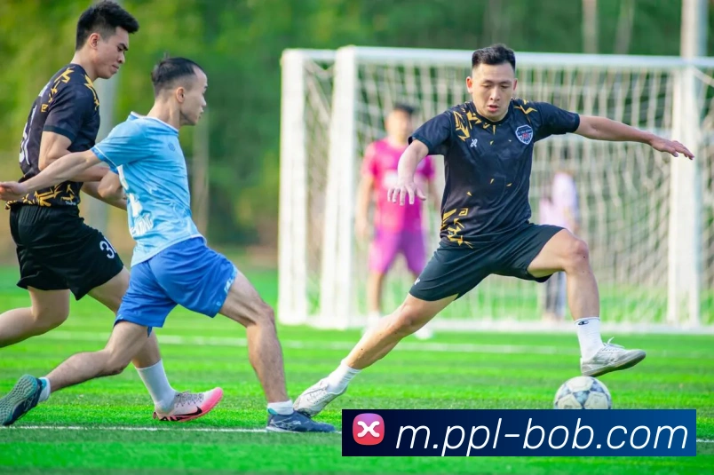 体育直播服务